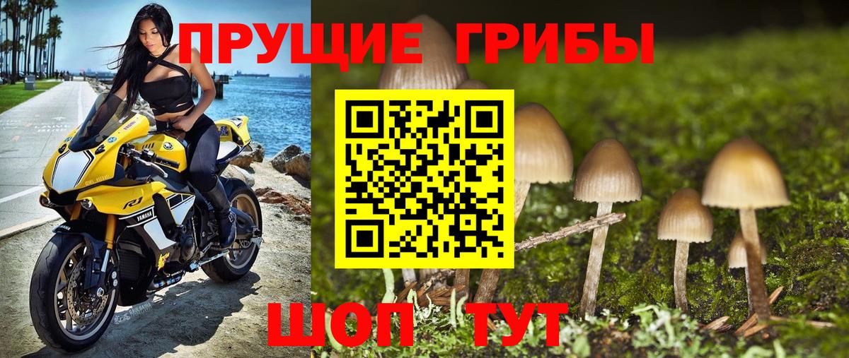 Галлюциногенные грибы Magic Shrooms Орехово-Зуево